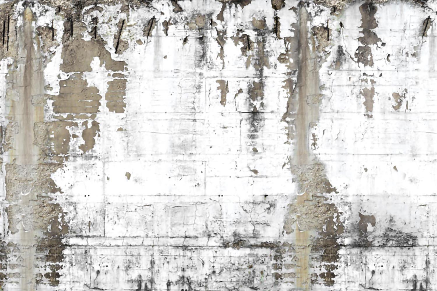 Old Flown 12OF Wallpaper