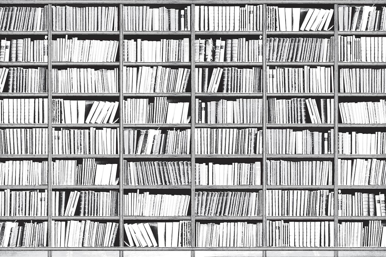 Knowledge 13KN Wallpaper