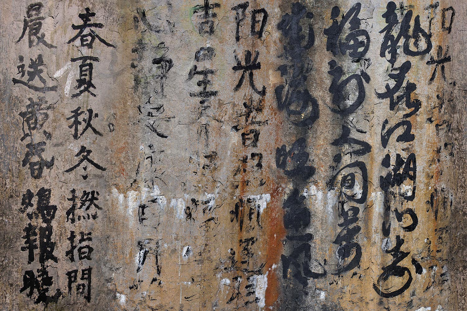 Sweet Disposition 14058 Wallpaper