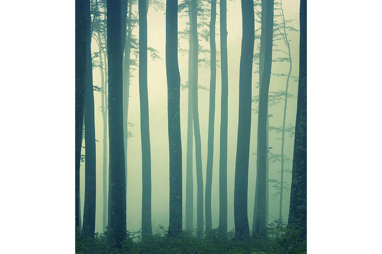 In The Absense Of Truth 14083 Wallpaper 