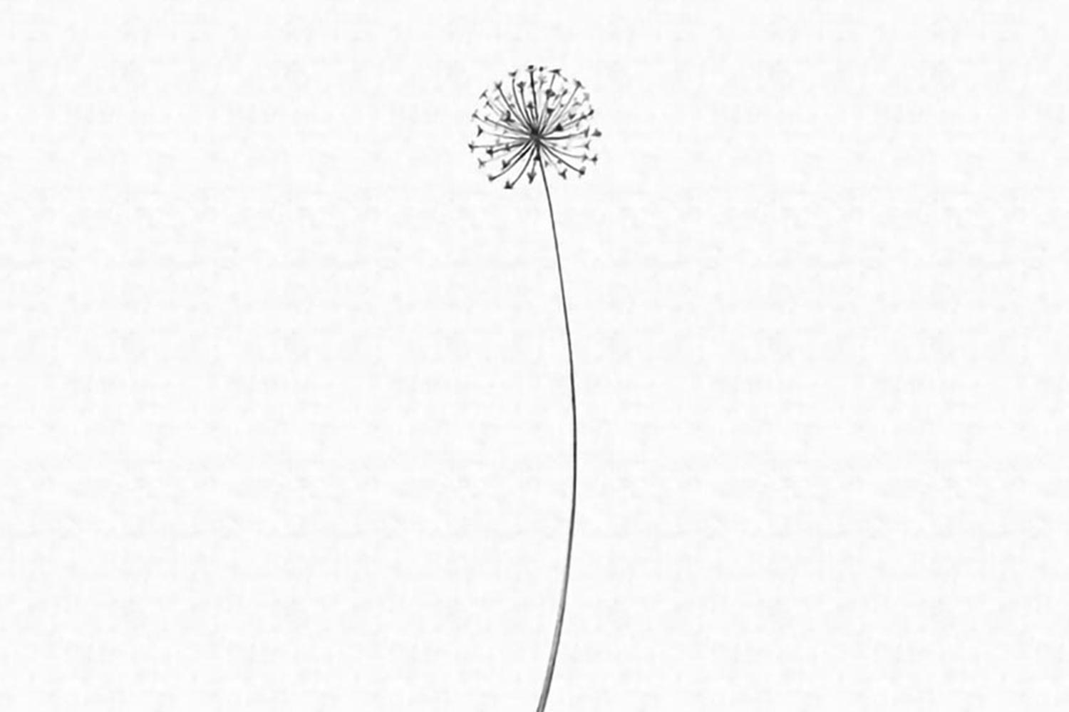 The Second Wave 14150 Wallpaper