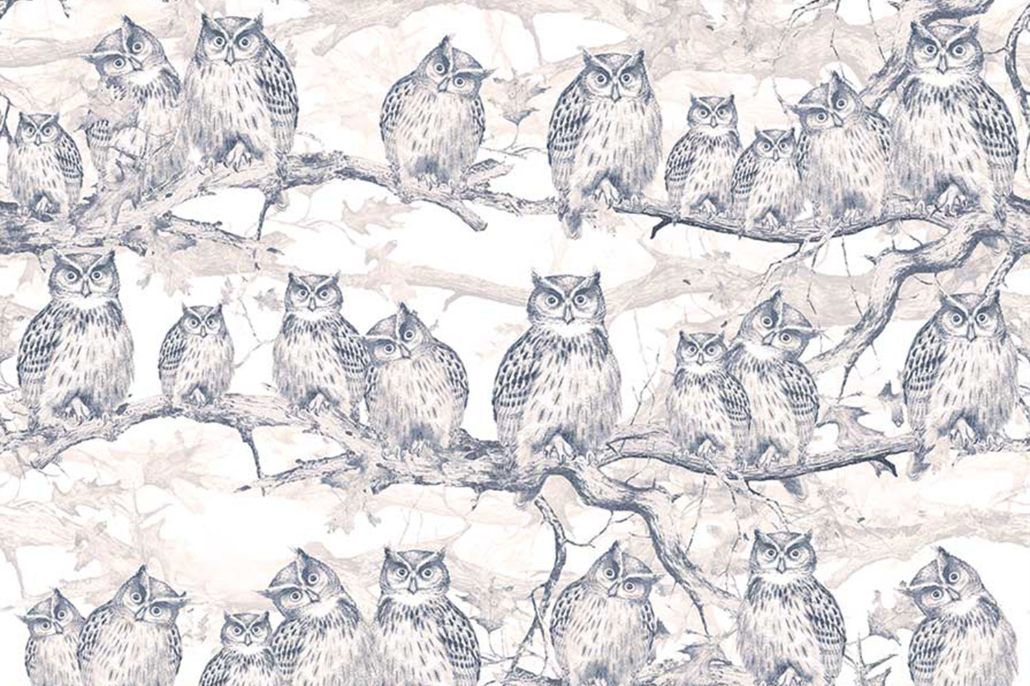 Owls Resort 17017 Wallpaper