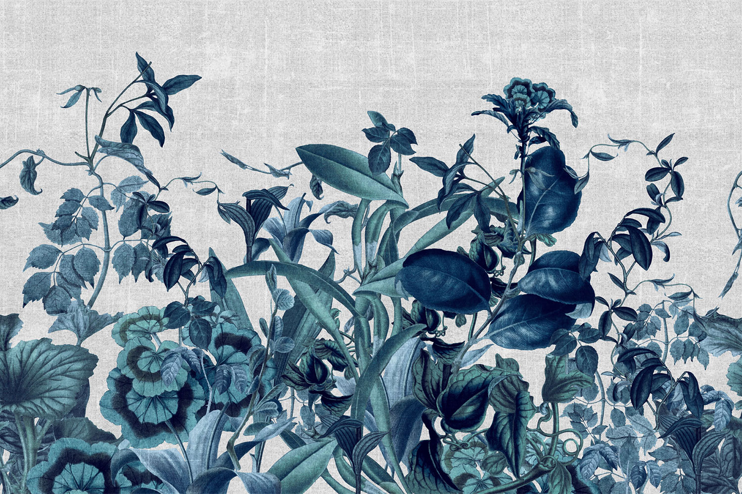 Herbarium 17060 Wallpaper