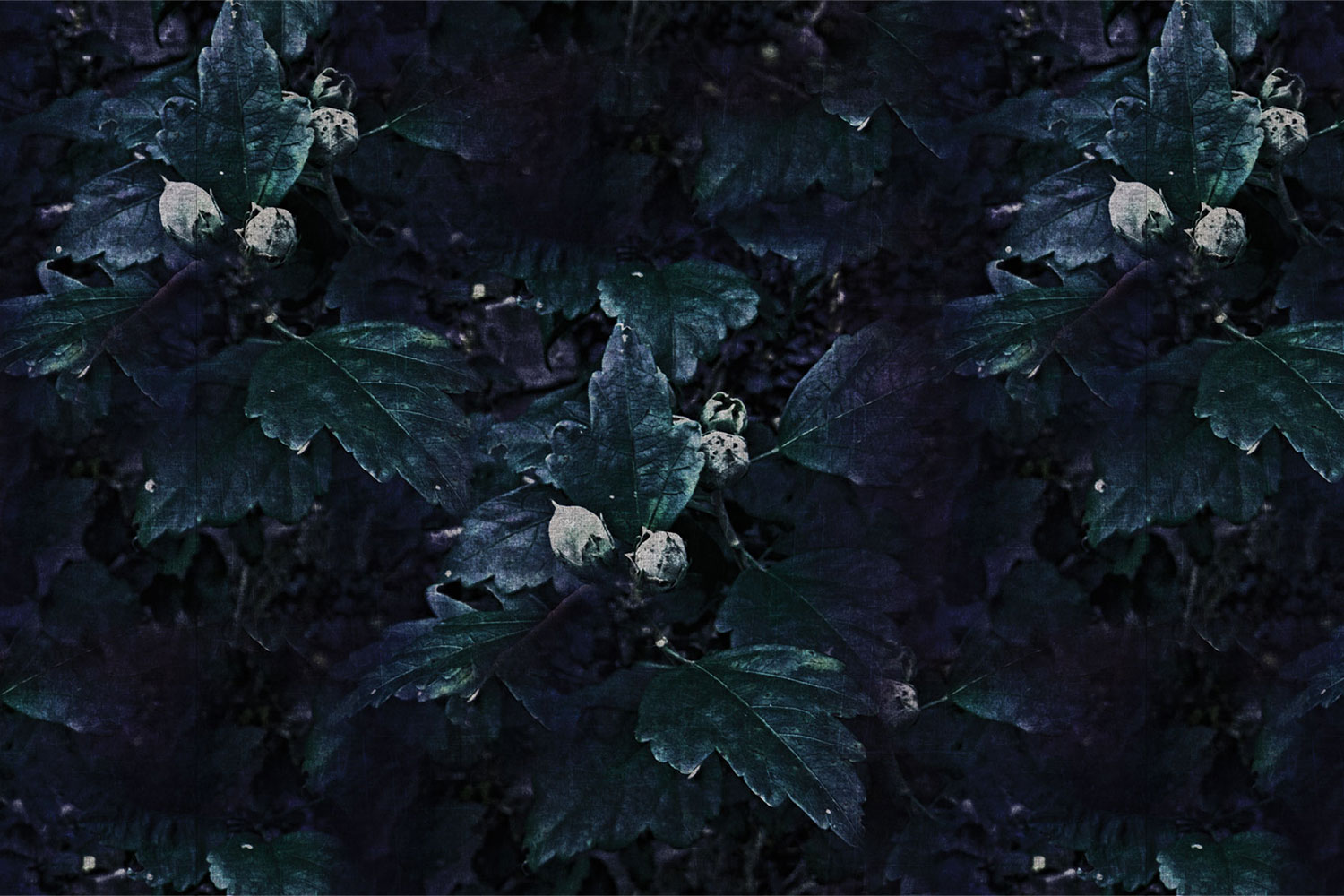 The Woodlanders 17065 Wallpaper