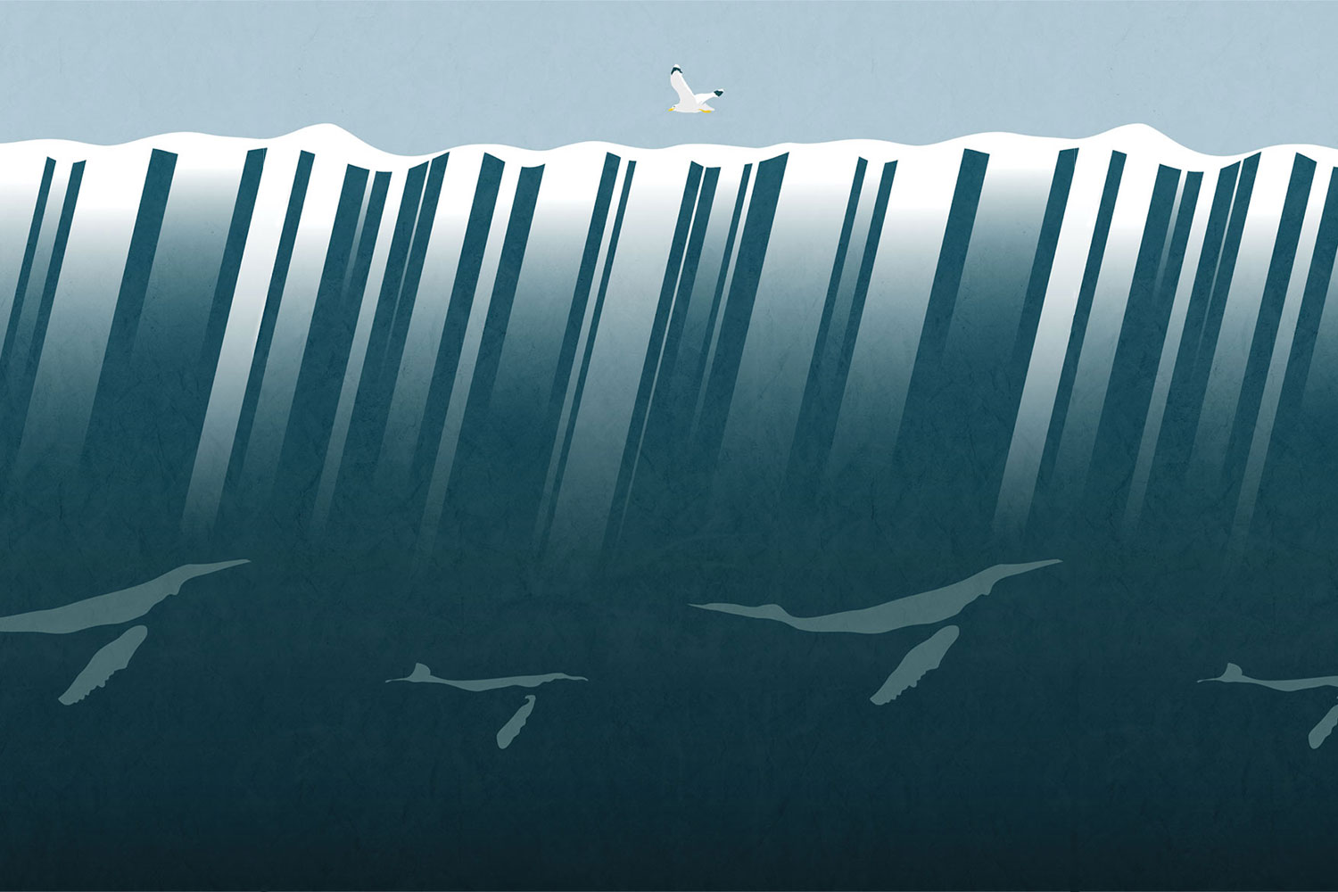 Below The Sea Face 17097 Wallpaper