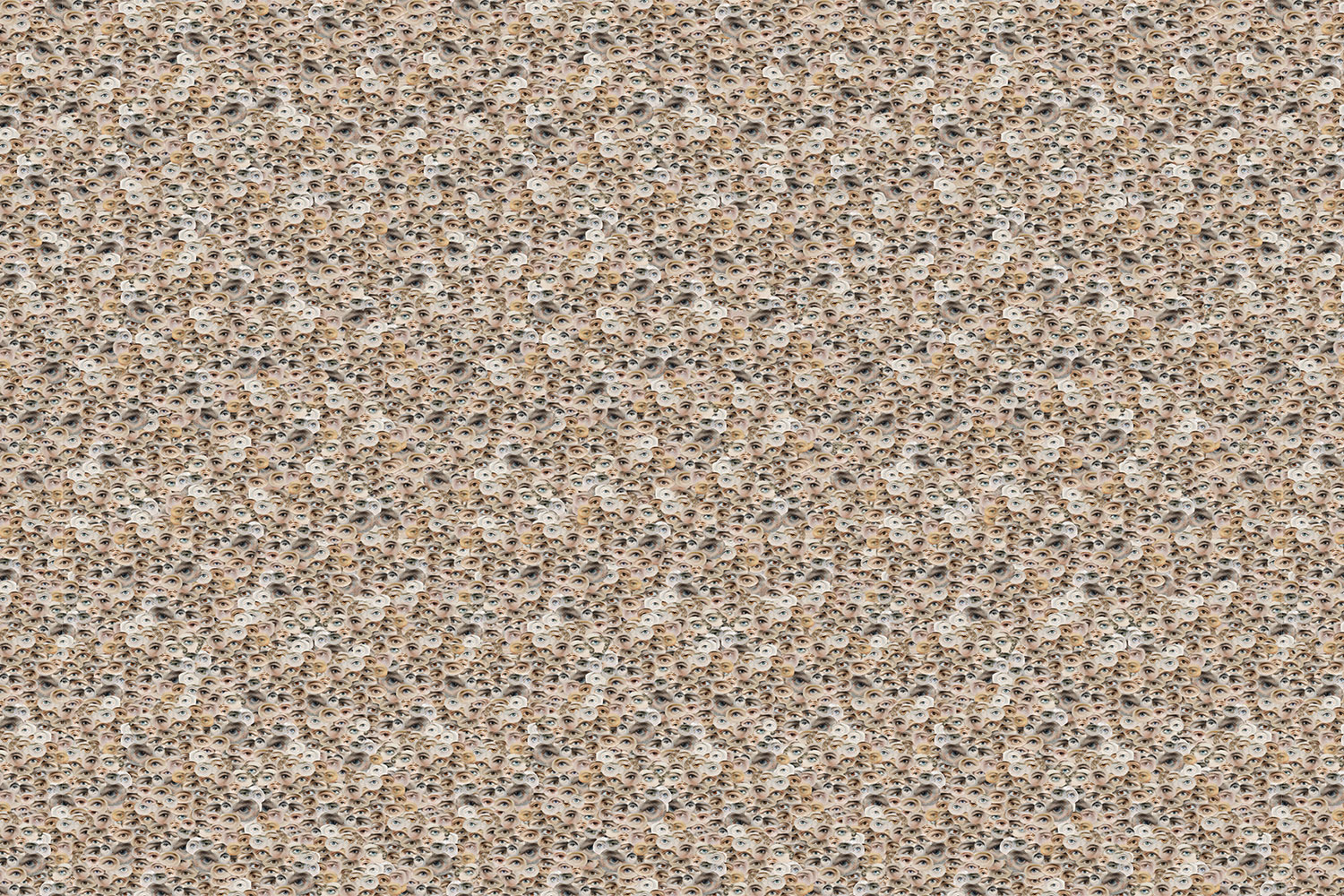 Victorian Eyes 18002 Wallpaper