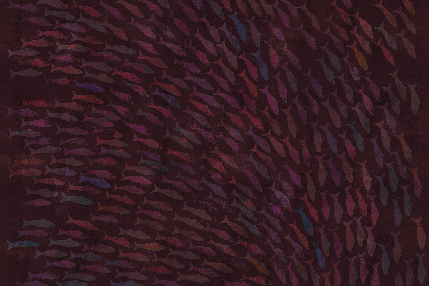 Rainbow Fish 18023 Wallpaper