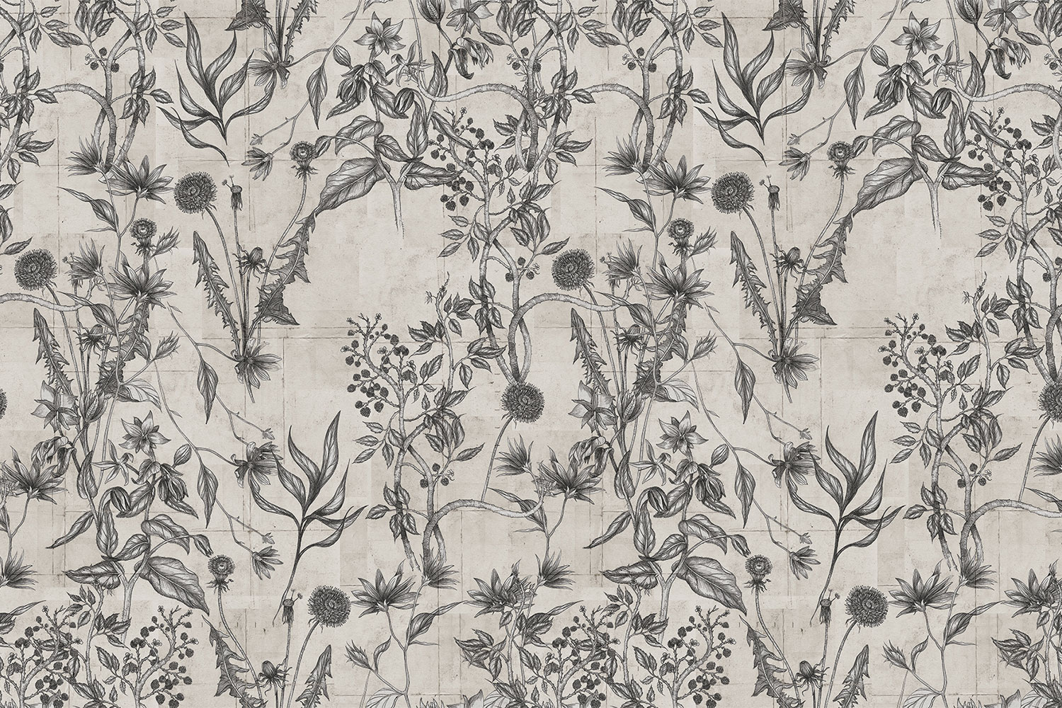 Wild Flower 18041 Wallpaper