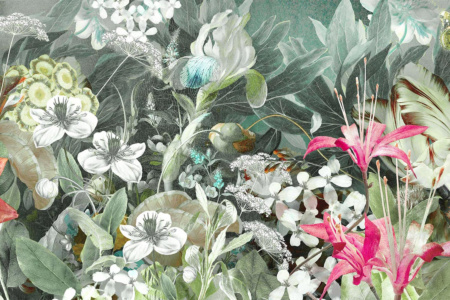 Havana 07MW Wallpaper