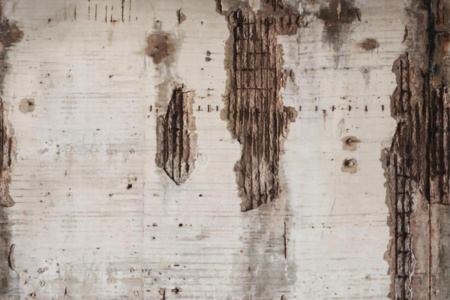 Industrialized 12IN Wallpaper