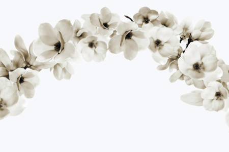 Lilith 12LT Wallpaper