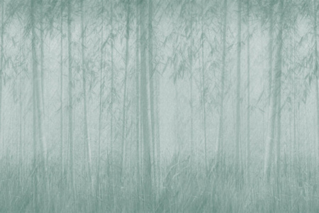 Sauvage 12SV Wallpaper