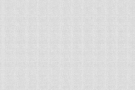 Campanula 13CP Wallpaper