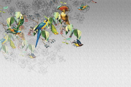 Valery's Parrot 13VP Wallpaper