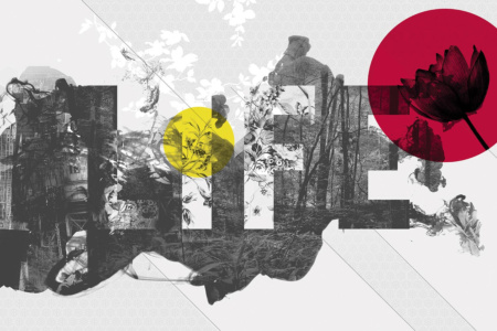 Life is Peachy 14032 Wallpaper