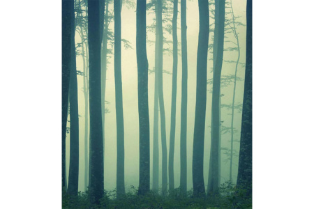 In The Absense Of Truth 14083 Wallpaper 