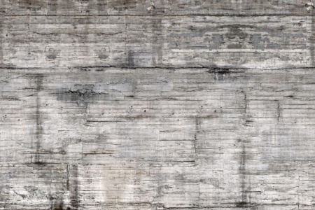 Electric Zoo 14101 Wallpaper