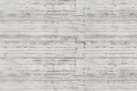 Electric Zoo 14101 Wallpaper