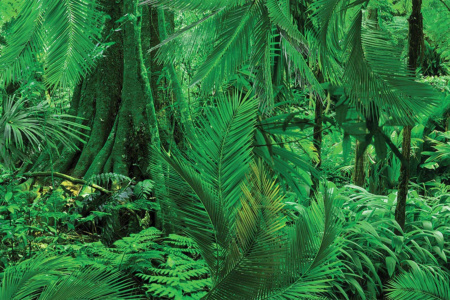 Gravitoni 14130 Wallpaper