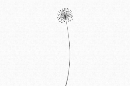 The Second Wave 14150 Wallpaper