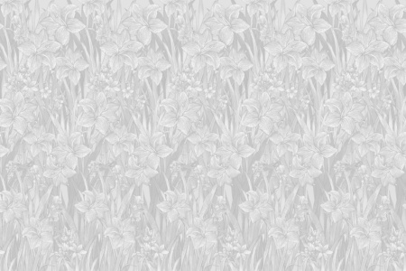 After Rain 17019 Wallpaper