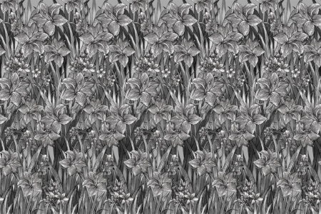 After Rain 17019 Wallpaper