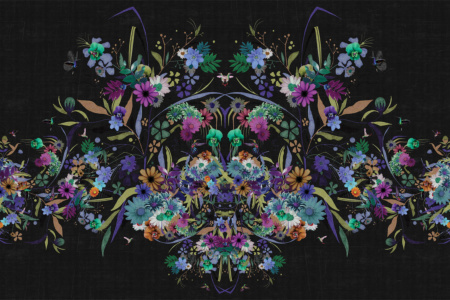 Kolibrie 17026 Wallpaper