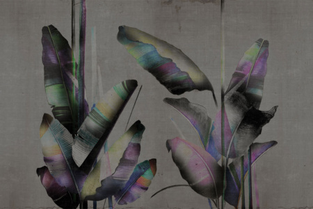 Feuilles 17027 Wallpaper