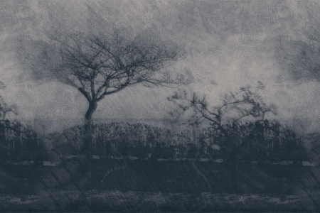 Mantra 17047 Wallpaper