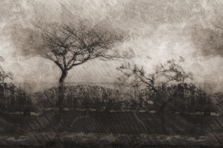 Mantra 17047 Wallpaper