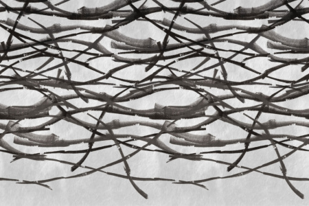 Truncus 17051 Wallpaper