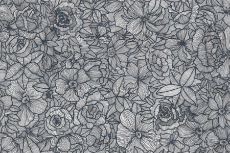 Impetro Lost 17056 Wallpaper