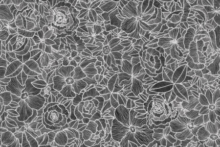 Impetro Lost 17056 Wallpaper