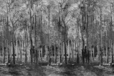 Vessel Of The Withering 17071 Wallpaper