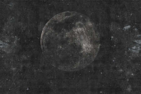 Sonnemblunem 17075 Wallpaper