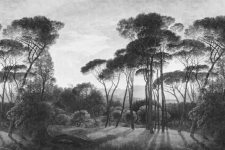 Nightcall 17084 Wallpaper