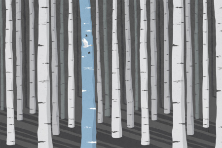 For-Rest 17098 Wallpaper