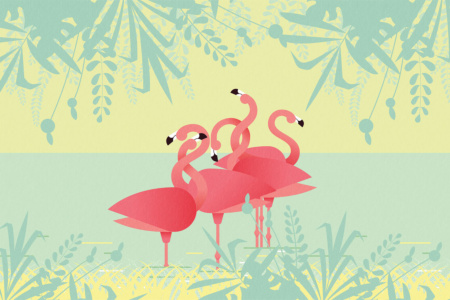 Flamingos 17101 Wallpaper
