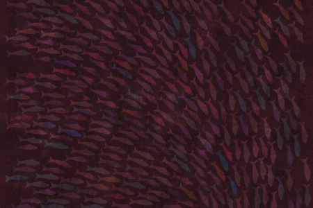 Rainbow Fish 18023 Wallpaper