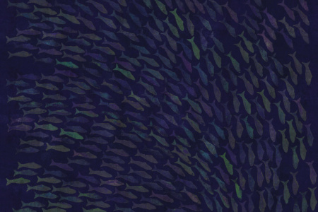 Rainbow Fish 18023 Wallpaper