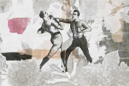 Boxers 18034 Wallpaper