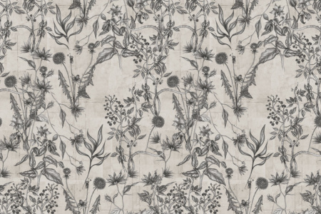 Wild Flower 18041 Wallpaper