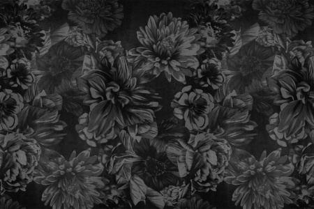 Dark Floral 18045 Wallpaper