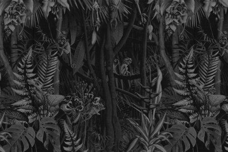 Looks In The Forest 18053 Wallpaper