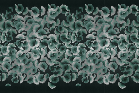 Ginkgo 18055 Wallpaper