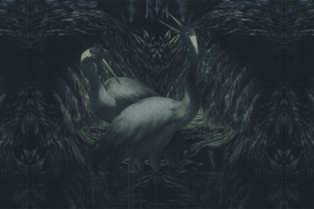 Hokkaido 18063 Wallpaper