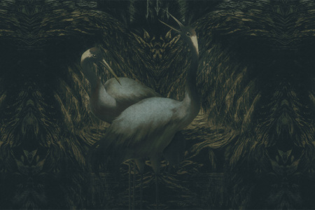 Hokkaido 18063 Wallpaper