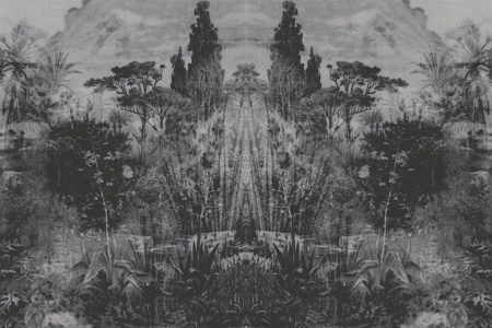 Panorama 18064 Wallpaper