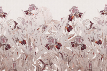 Iris 18107 Wallpaper