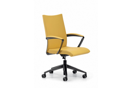 Avia Gas Lift Office Chair